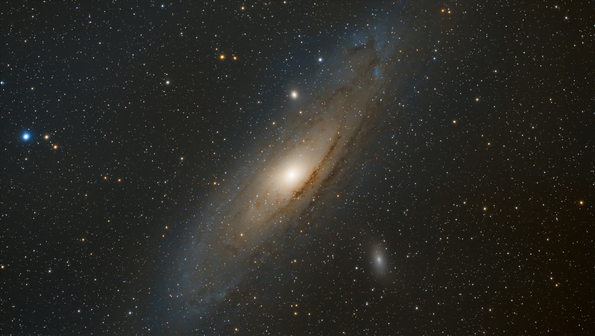 Person looking at the sky